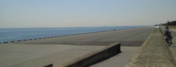The Sea Wall is one of Kabutocho.