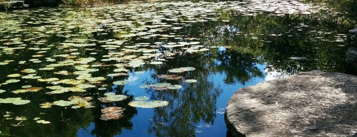 Alfred Caldwell Lily Pool is one of Beautiful Chicago.