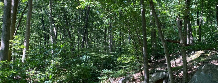 Alapocas Woods Park (Hiking Area) is one of PA + DE.