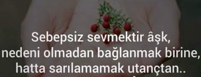 kuaför şakir ✂️ is one of Posti che sono piaciuti a Çiğdem 🐞🍃🐞.