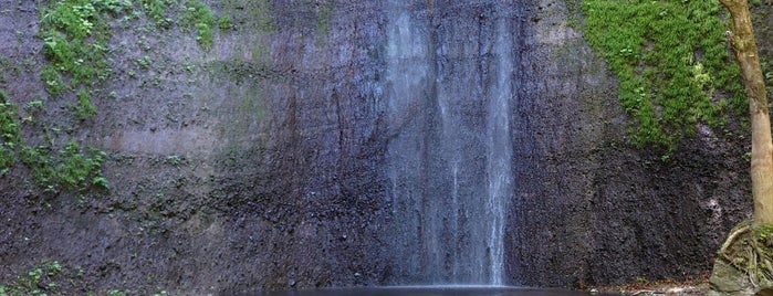 Kiyotaki Falls is one of 九州 To-Do.