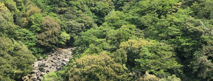 Jeju-do is one of สถานที่ที่บันทึกไว้ของ Fyodor.