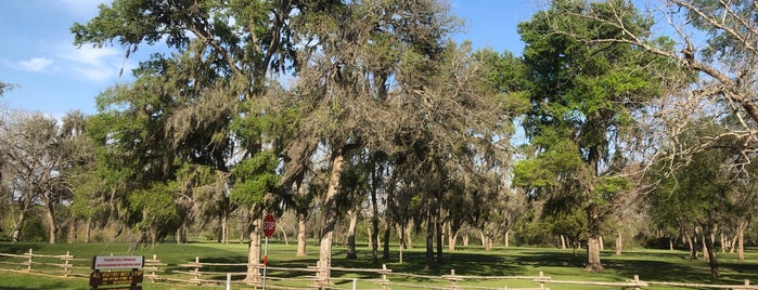 Stephen F. Austin State Park is one of family fun.