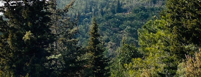 Taşdelen Ormanı is one of Lugares favoritos de Korhan.