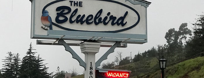 Bluebird Inn is one of babsさんのお気に入りスポット.