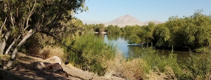 Henderson Bird Viewing Preserve is one of Free Things to Do in Las Vegas.