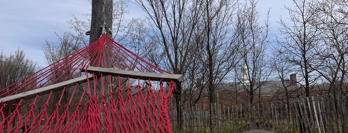 Governors Island Hammock Grove is one of NYC Outings.