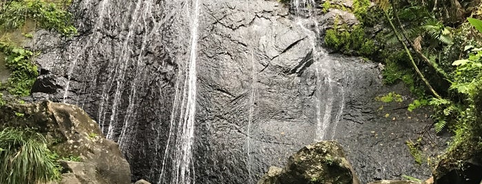 La Coca Falls is one of Favorite places in Puerto Rico.