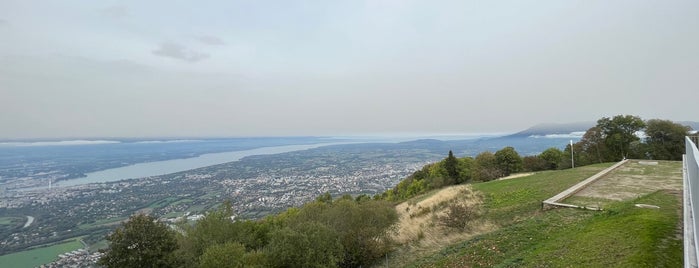 Mont Salève is one of Genf Pelin Und David.