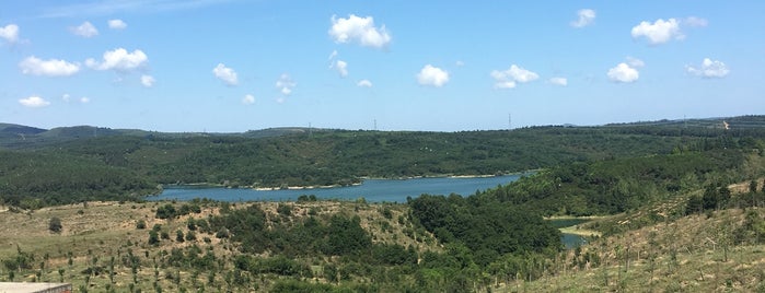 Lezzetin Ustası Restaurant is one of caglar'ın Kaydettiği Mekanlar.