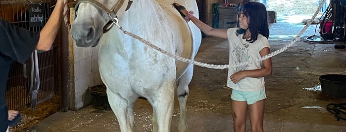 Thomas School of Horsemanship Summer Day Camp & Riding School is one of Day Trips.