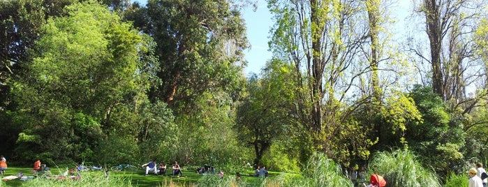 Jardim da Fundação Calouste Gulbenkian is one of Tempat yang Disukai Sofia.