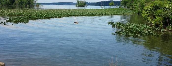 Fort Foote Park is one of D.C. Recommendations.