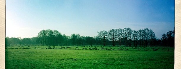 Ferienwohnung Wilkening is one of Ferienwohnungen Steinhuder Meer.