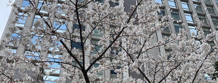 Celestine Shiba Mitsui Building is one of Tamachi・Hamamatsucho・Shibakoen.