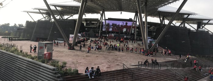 Estadio Alfredo Harp Helú is one of Tempat yang Disukai Rafael.