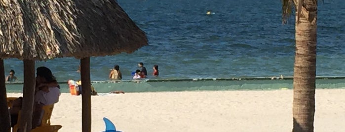 Playa Bonita is one of สถานที่ที่ Rafael ถูกใจ.
