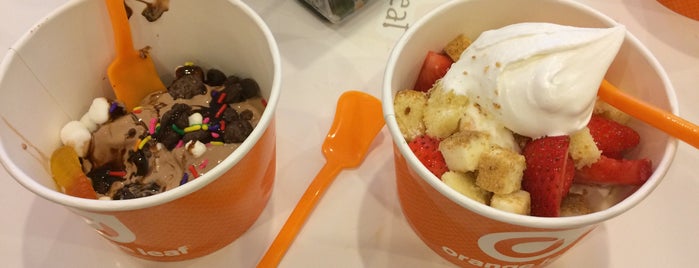Orange Leaf is one of The 15 Best Places for Pistachios in San Antonio.