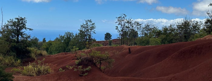 Red Dirt Falls is one of Kauai.