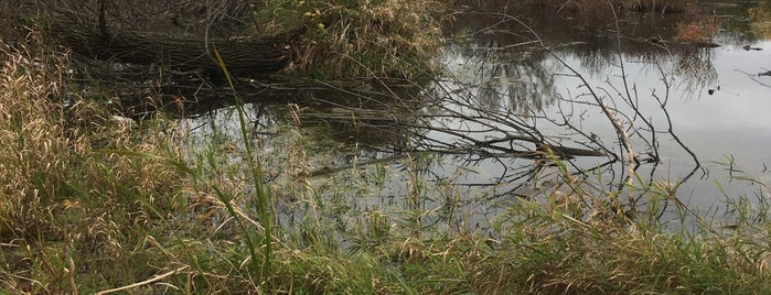 Marydale Park is one of Parks.