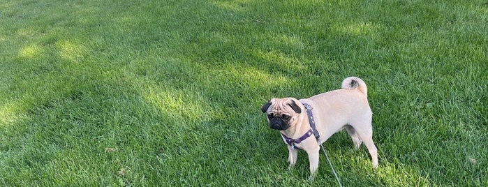 Vernon Blvd Dog Park is one of Living Long Island City.