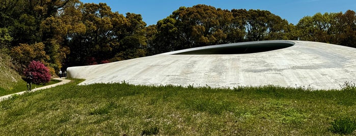 Teshima Art Museum is one of Naoshima.