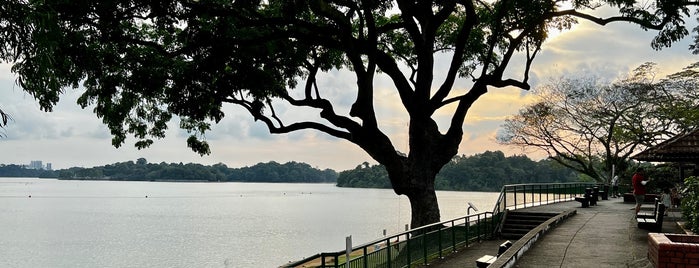 Upper Seletar Reservoir Fishing Grounds is one of Singapore.