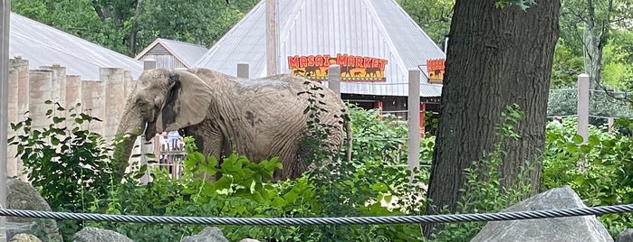 Elephant Hut is one of Rhode Island.