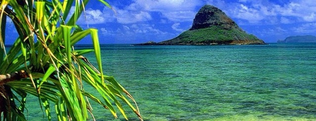 Hawaii is one of Tempat yang Disukai AKB.