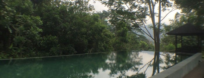 Templer rainforest retreat is one of Activities.