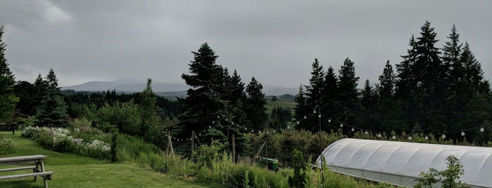 Mt Hood Organic Farms is one of Stacy 님이 저장한 장소.