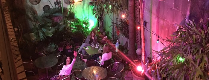 The New Feelings Cafe, Bar & Courtyard Lounge is one of New Orleans.