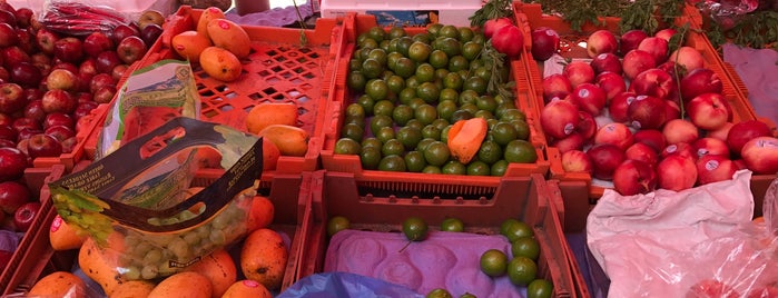 tianguis Cultura Tolteca is one of Locais curtidos por Ursula.