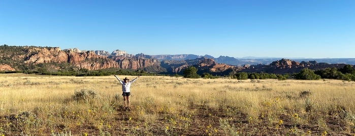 Kolob Canyons Scenic Drive/Viewpoint is one of สถานที่ที่ Larry ถูกใจ.