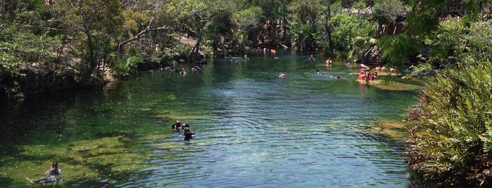 El Jardin del eden Cenote is one of meksika.