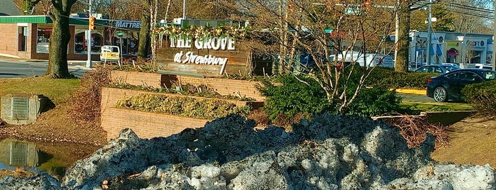 The Grove at Shrewsbury is one of Best Travel Amenities Hotel in NJ.