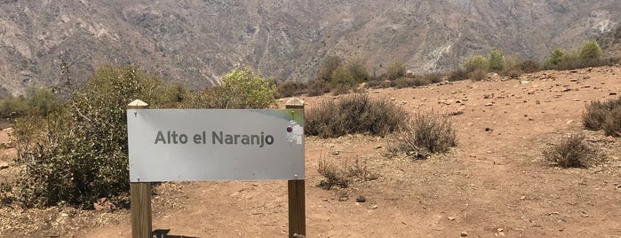 Alto El Naranjo is one of Cerros / Parques.