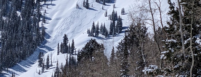 Peak Five Lift is one of Canyons.