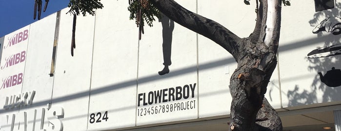 Flowerboy Project is one of LA.