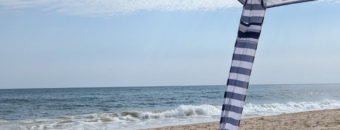 Amagansett Beach is one of Hamptons Hot Spots.