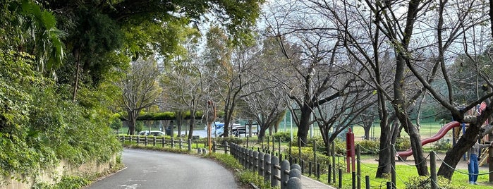 実籾本郷公園 is one of きんモザの聖地.