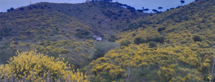 Font de la Mandra is one of Lieux qui ont plu à Olga.