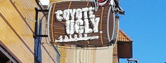 Coyote Ugly Saloon is one of Bonnaroo 2013.