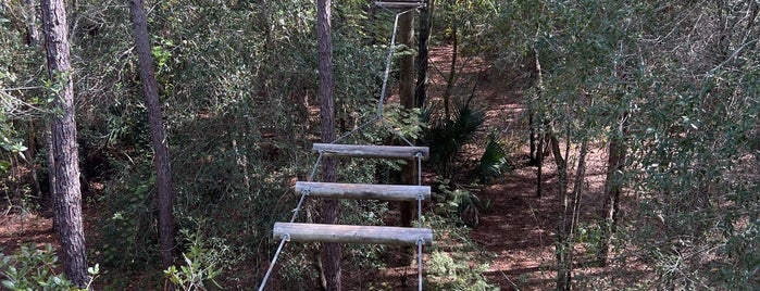 Orlando Tree Trek is one of Orlando.