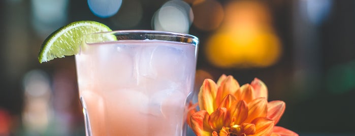 Find Your Perfect Summer Cocktail