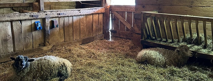 Riverdale Farm is one of Things to Do in Toronto.