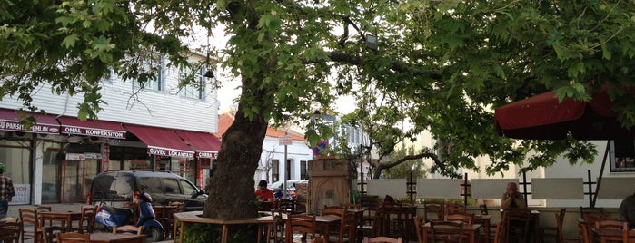 Çınaraltı Cafe & Restaurant is one of Yol üstü mekanları.