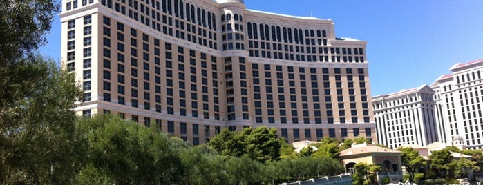 Bellagio Hotel & Casino is one of Viva Las Vegas.