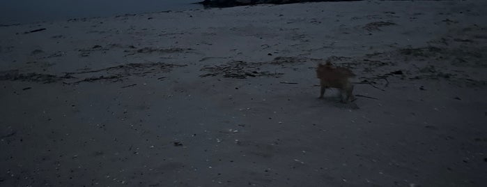 Cape Charles Beach is one of Beaches (VA).