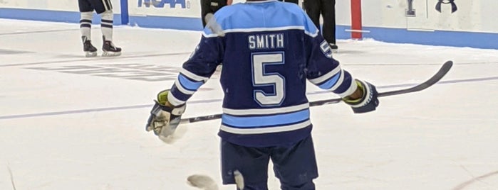 David S. Ingalls Rink is one of Hockey Rinks.